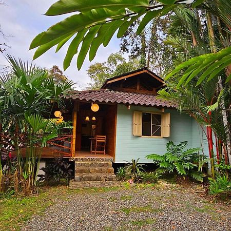 Villa Rameen Puerto Viejo de Talamanca Экстерьер фото